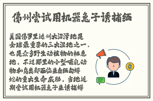 晚上看b站2024